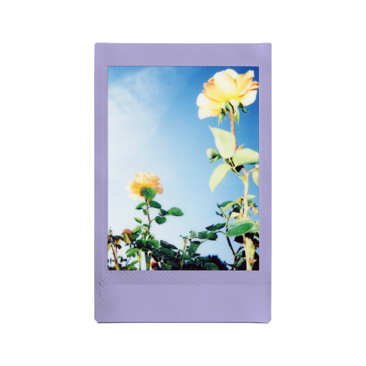 Fuji Instax Mini Film – Soft Lavender