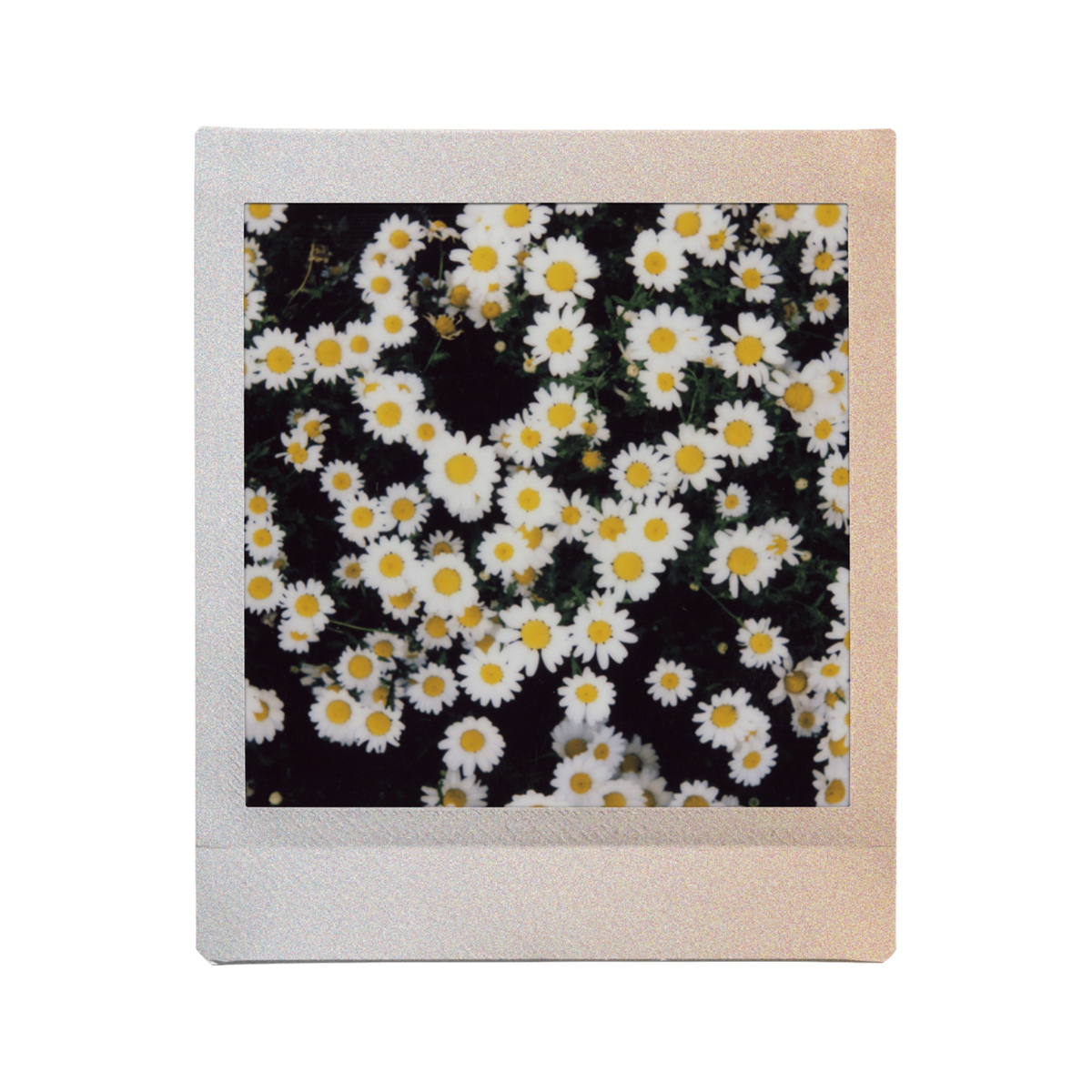Fujifilm Instax Square Film – Sunset